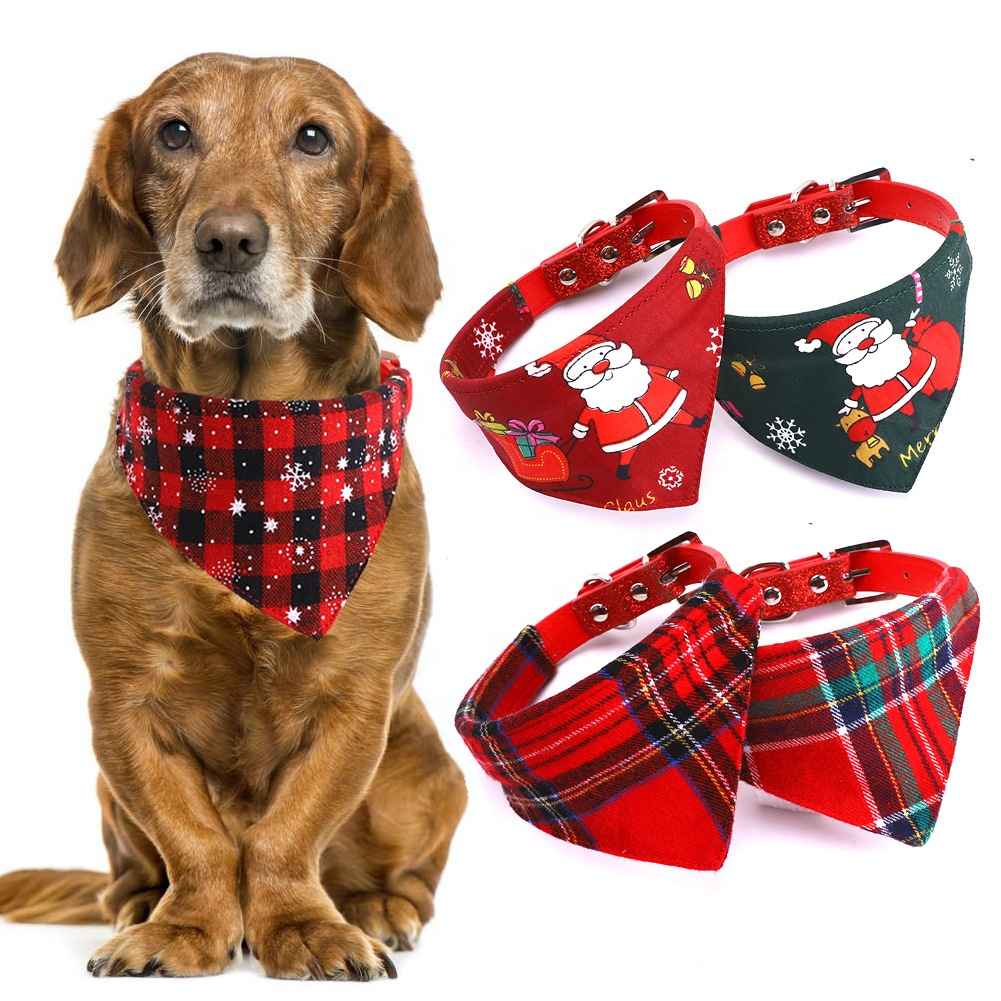 Pets products